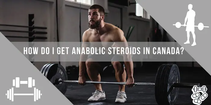 https://proroid.us/
